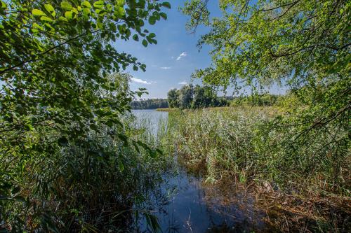 a view of a lake through the trees at Całoroczny dom wakacyjny in Stęszewko