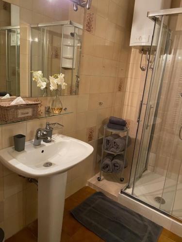 a bathroom with a sink and a shower at Apartment Mirna - what you see is what you get in Opatija