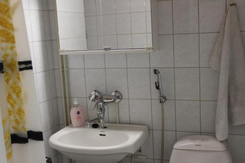 La petite salle de bains est pourvue d'un lavabo et de toilettes. dans l'établissement Studio Kaarto, à Rovaniemi