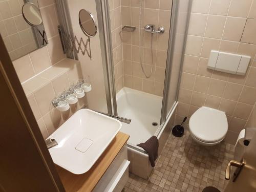 y baño con ducha, lavabo y aseo. en Kupferkanne App. 17, en Todtmoos