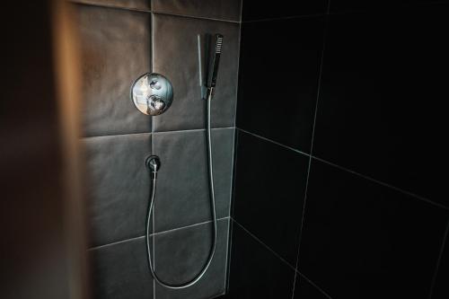 a shower with a shower head on a wall at Maison Durieux in Limoges