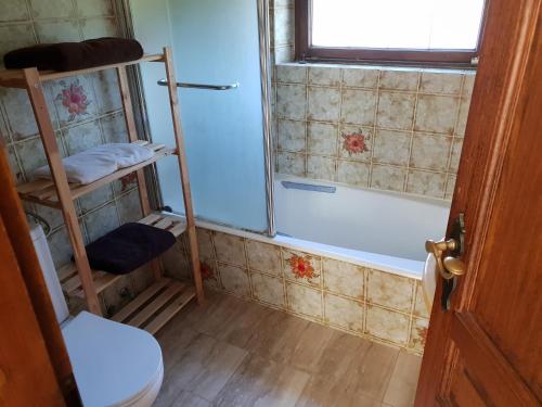 a bathroom with a shower and a tub and a toilet at les gites de l'océan indien in Batzendorf