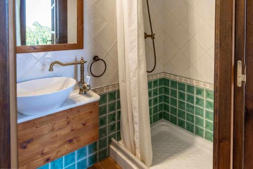 a bathroom with a sink and a bath tub at Ermita de Santa Llúcia - Casa rural histórica in Tonya