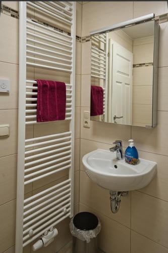 un baño con lavabo y espejo en Ferienwohnung Erik, en Bad Staffelstein