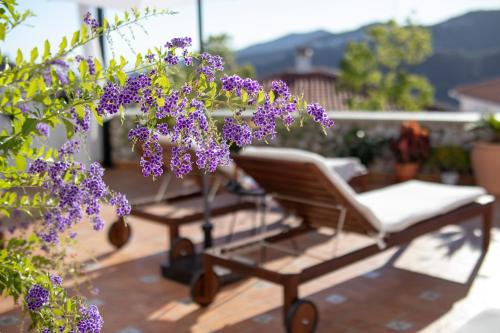 a chair sitting on a porch with purple flowers at Malaga Hills Double Comfort Boutique & Wellness Eco-Hotel -Adults Only- in Cómpeta