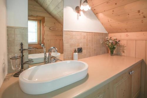 a bathroom with a sink and a tub in a room at Villa Pokljuka in Zgornje Gorje