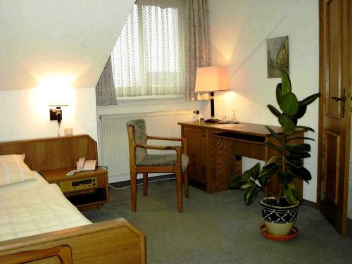 ein Hotelzimmer mit einem Bett, einem Schreibtisch und einer Pflanze in der Unterkunft Hotel Villa Luise in Bad Rothenfelde