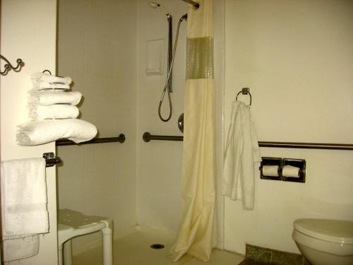 Ένα μπάνιο στο Travelodge by Wyndham Red Bluff South of Redding