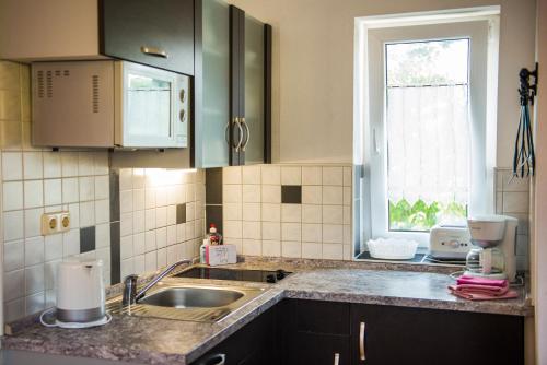 Kuchyň nebo kuchyňský kout v ubytování Ferienwohnung am Zeulenrodaer Meer