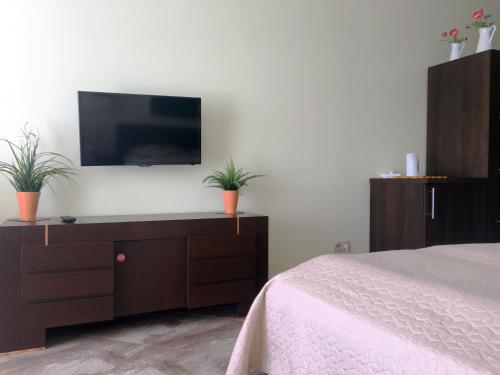 コウォブジェクにあるApartament prywatny w kompleksie hotelowym przy ul Kościuszki 16のベッドルーム1室(壁に薄型テレビ付)