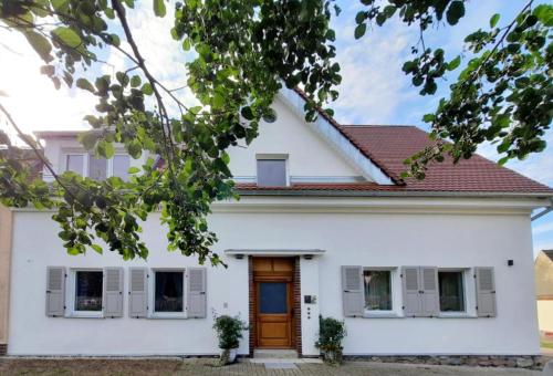 a white house with a brown door at ALTE SCHULE WITTENBERG, 3 Ferienwohnungen für bis zu 12 Personen, an der Elbe, mit Garten in Lutherstadt Wittenberg