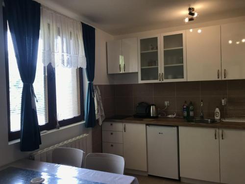 A kitchen or kitchenette at Apartman Djordjevići