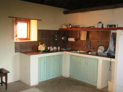 a kitchen with mint green cabinets and a window at Wild Rescue Nature Reserve in Riversdale