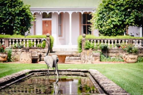 a bird standing in a pond in front of a house at Hartford House in Mooirivier