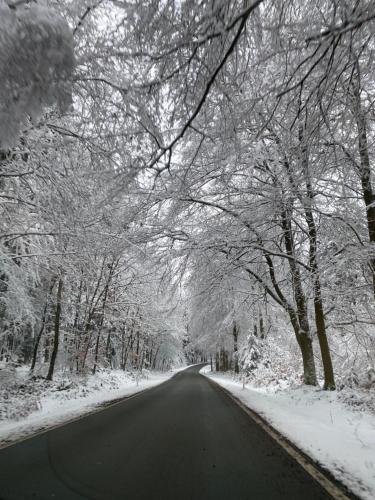 Ferienwohnung Zollhaus durante el invierno