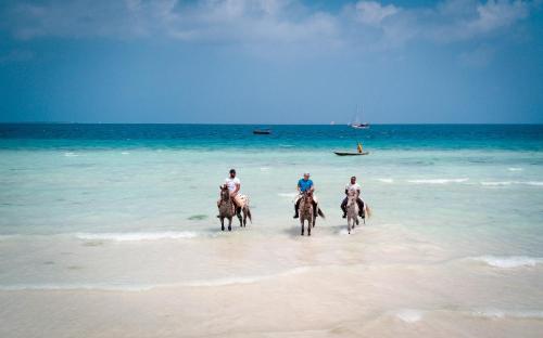 a group of people riding horses on the beach at Z Hotel & Z2 Hotel in Nungwi