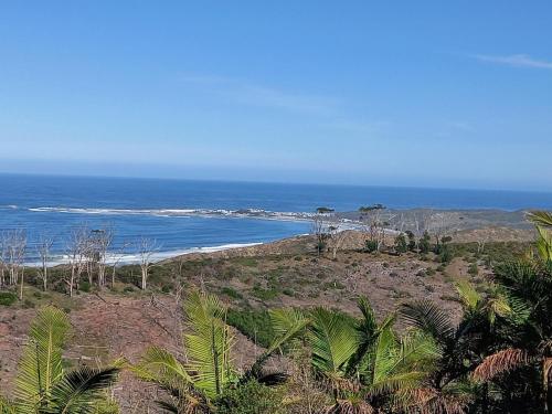 a view of a beach with palm trees and the ocean at 110 Bay View in Brenton-on-Sea