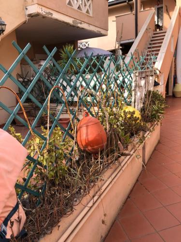 a planter with an orange ball in a garden at House Turi in Ardea