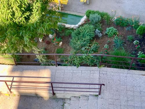 Taman di luar Apartman Iva