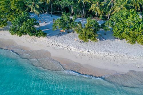an aerial view of a beach with trees and water at Shallow Lagoon Rasdhoo in Rasdu