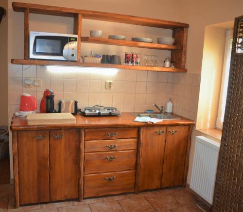 a kitchen with wooden cabinets and a sink and a microwave at Apartmány Pod vodárenskou věží in Poděbrady