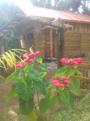 Taman di luar Cabanas Pousada Esmeraldas