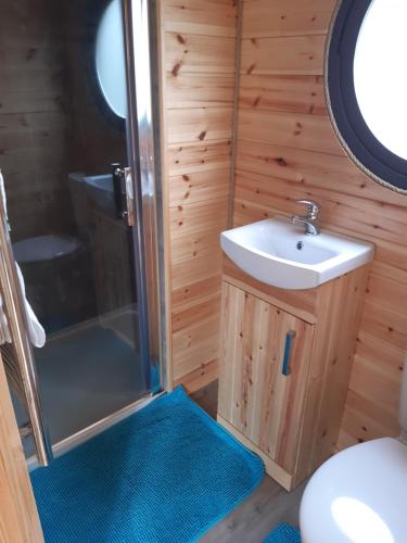 a small bathroom with a sink and a shower at Penystryd in Trawsfynydd