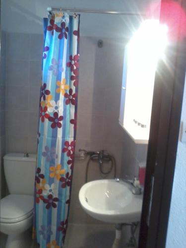 a bathroom with a sink and a shower curtain at Studios Kofos Limin in Porto Koufo