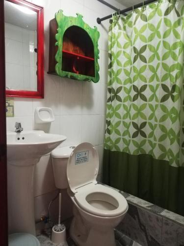 a bathroom with a toilet and a green shower curtain at Flying Donkey in Otavalo
