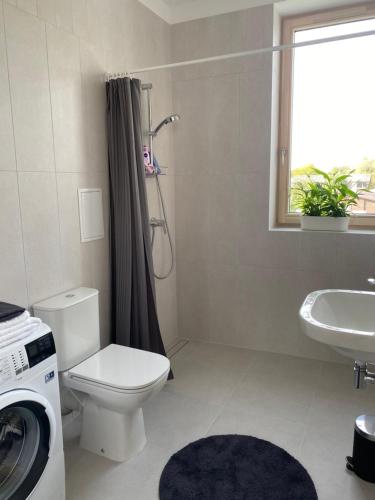 a bathroom with a toilet and a sink and a shower at Zane's apartment in Valmiera