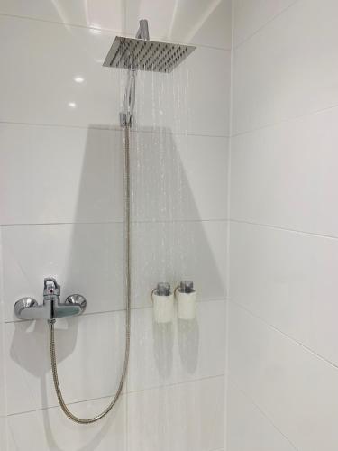 a shower in a bathroom with a shower head at Boshuisje La Casita - Near Wellness & Golf in Oosterhout