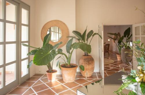 Φωτογραφία από το άλμπουμ του Hotel Ritual de Terra & SPA σε Jávea