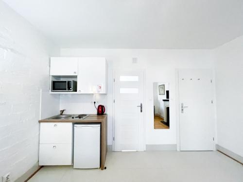 Kuchyňa alebo kuchynka v ubytovaní SuperApart Tamka MiniStudio, Family Friendly Abode
