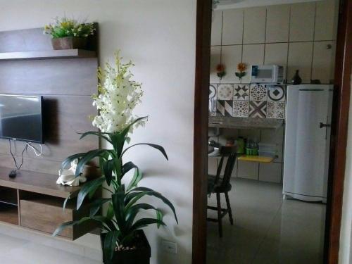 Apartamento Novidade na Booking.com Lindo e aconchegante apartamento a50mts da praia na Praia Grande Ubatuba Menor preço em Apartamento Novidade na Booking.com Lindo e aconchegante apartamento a50mts da praia na Praia Grande Ubatuba