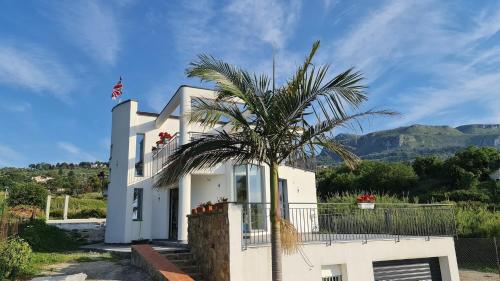 a white house with a palm tree in front of it at Assabinirica in Acquedolci