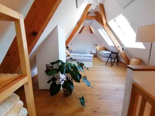 a room with a plant in the middle of a attic at WÄLDER: Quartier Haus im Glück in St. Blasien