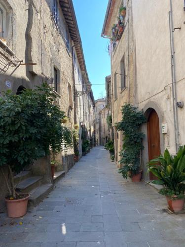 an alley in an old building with plants in pots at La FINESTRA SUL LAGO DI BOLSENA in Marta
