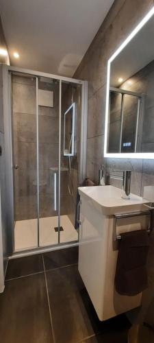 a bathroom with a shower and a sink and a mirror at Alps Spirits - B&B Studio in Fully