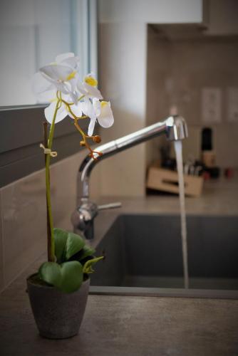 Fotografie z fotogalerie ubytování C&A Luxury Apartment v destinaci Igumenica