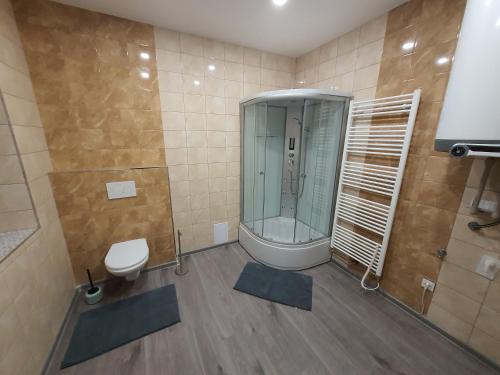 Ένα μπάνιο στο Apartmány HAVLÍČKOVA 423