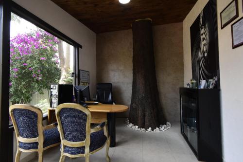 Televisyen dan/atau pusat hiburan di Hotel Palmas Teotihuacán