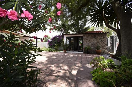 Taman di luar Hotel Palmas Teotihuacán