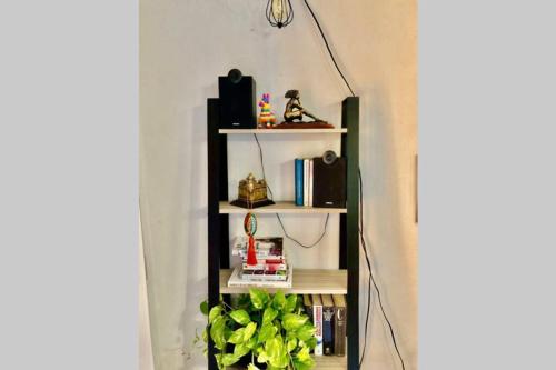 a black book shelf in a room with a plant at Casa El Flamboyán dentro de la ciudad amurallada in Campeche