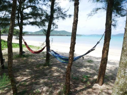 a hammock in the trees on the beach at Le Grand Bleu in Amami