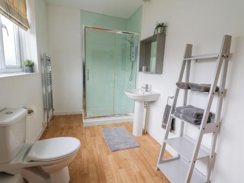 een badkamer met een toilet, een wastafel en een douche bij The Orangery in Tenby