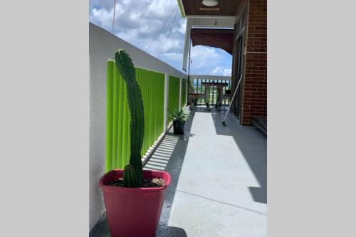 a cactus in a red pot sitting next to a wall at Japanestジャパネスト in Tomigusuku