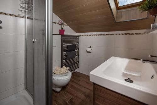 a bathroom with a sink and a toilet and a shower at Graznhof Pension und Ferienwohnungen in Anger