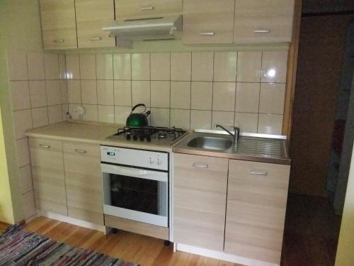 a small kitchen with a stove and a sink at Jasionowy Gaj in Jasionowo