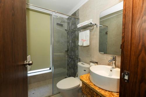 ein Bad mit einem Waschbecken, einem WC und einer Dusche in der Unterkunft Minh Phong Hotel Ha Long in Hạ Long