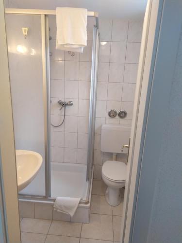 a bathroom with a shower and a toilet and a sink at Hotel Victoria in Weil am Rhein